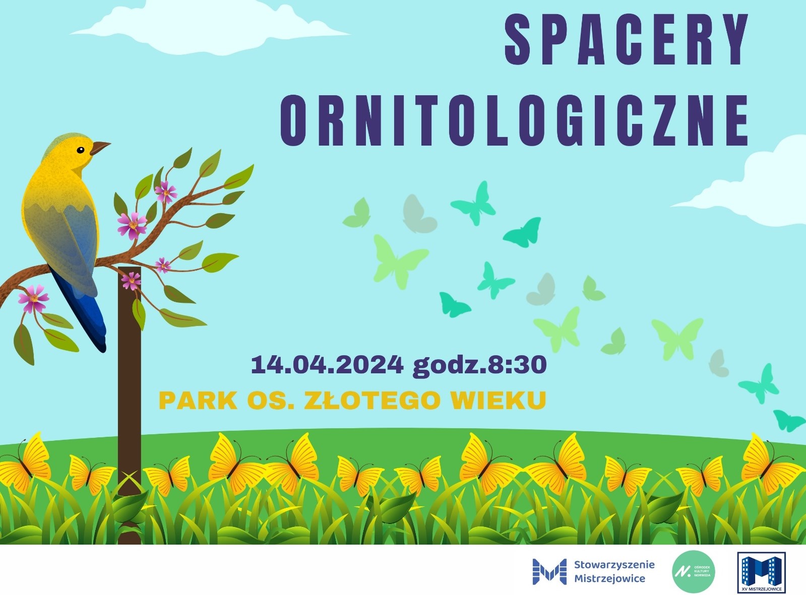 Spacery Ornitologiczne 